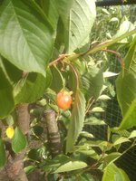 IMG_20170701_161119.jpg