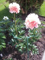 20130610_161140 - копия.jpg