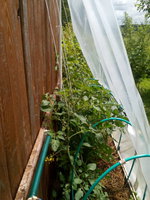 IMG_20170702_113421.jpg