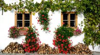 IMG-20170430-WA0011.jpg