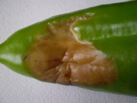 P1010002 (2).JPG