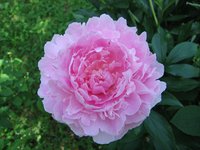 z_344589a0.jpg