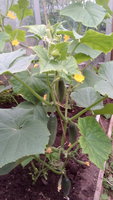 IMG_20170702_183836.jpg