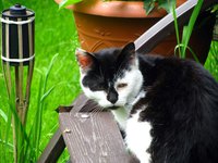IMG_3280.JPG