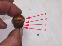 242-1.jpg