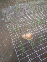 IMG_20170703_094440.jpg