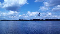 IMG_20170704_135001.jpg