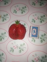 Альба.jpg