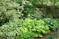 P1320122.JPG