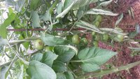 20170703_102529.jpg
