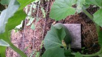 20170703_102904.jpg