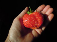DSCN2038.JPG