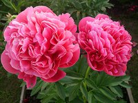 IMG_20130610_235313.jpg