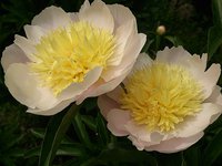 IMG_20130610_235519.jpg