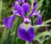 p1-2109_1.jpg