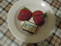 DSCN2041.JPG