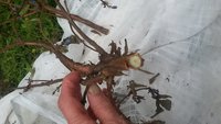 20170708_172711.jpg