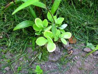 IMG_3413.JPG