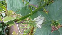 20170708_142658.jpg