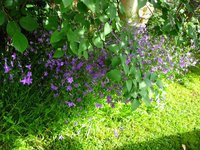 IMG_3392.JPG