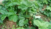 IMG_20170704_134414.jpg