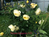 IMG_2475.JPG
