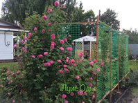 IMG_2468.JPG