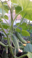 IMG_20170711_201457.jpg