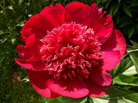 IMG_20130611_213824.jpg