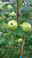 WP_20170713_006.jpg
