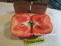 Великобритания_20170714_144058.jpg