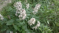 2013-06-12-519.jpg