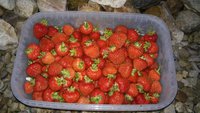 20170714_212526.jpg