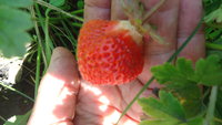 DSC05626.JPG