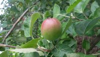 20170716_141205.jpg