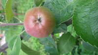 20170716_141155.jpg