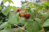 IMG_8269.jpg