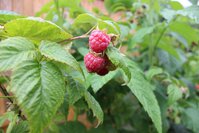 IMG_8270.jpg