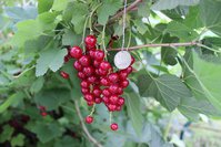 IMG_8364.jpg