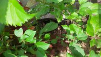 20170715_131555.jpg