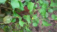 20170715_131853.jpg
