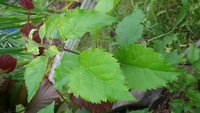 20170715_131843.jpg