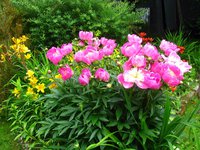 IMG_3470.JPG