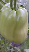 20170717_203755.jpg