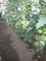IMG_20170717_191423.jpg