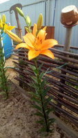 IMG_20170718_074216.jpg