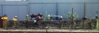 IMG_20170718_084027_838.jpg