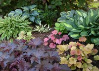 IMG_20130612_201624.jpg
