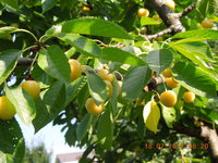DSCN5949.JPG
