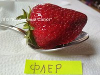 Флер. Шикарная вкусная ягода.